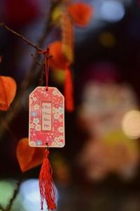 tài xỉu lừa đảo